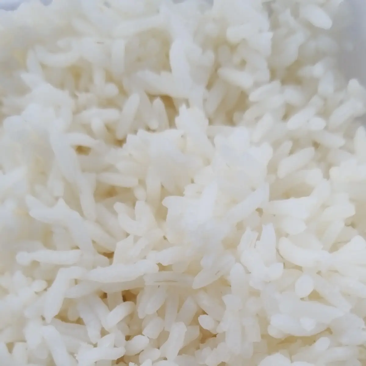 white rice 白饭